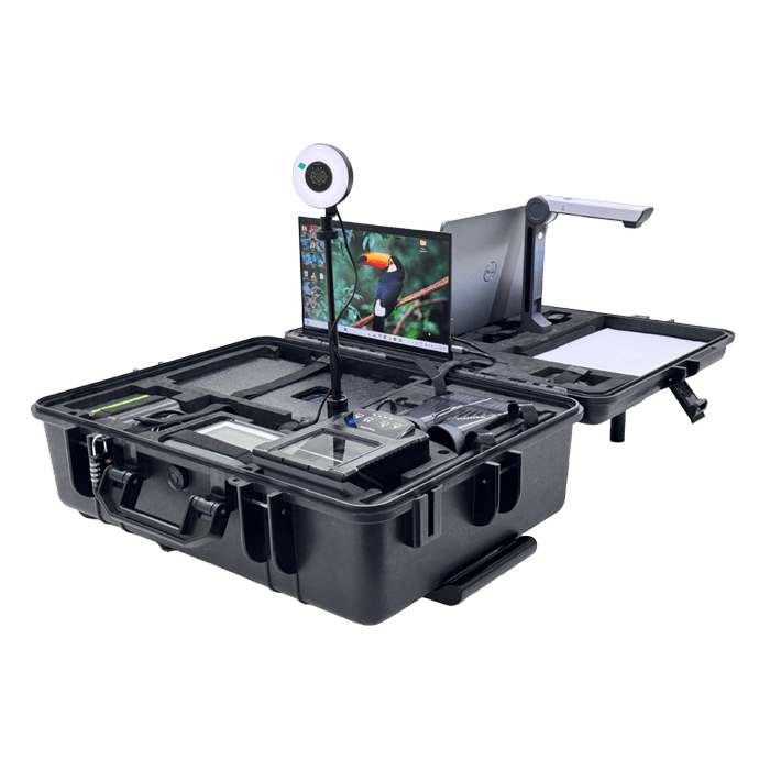 MKiT 11